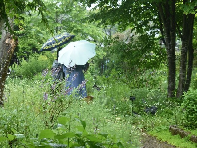 オープンガーデン初日は雨