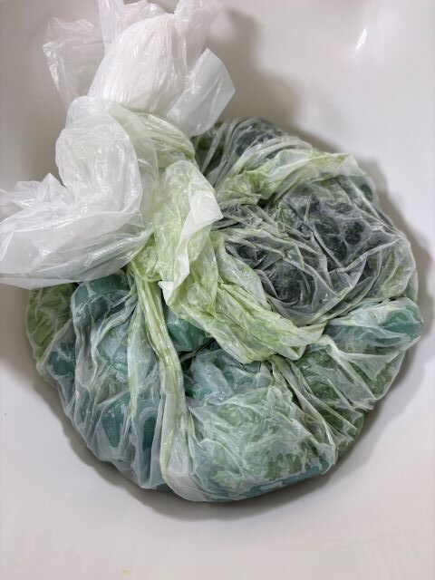 酸素に触れないよう藍の染液をもみこむ