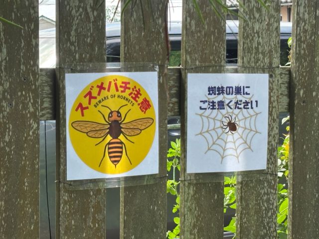 スズメバチ注意