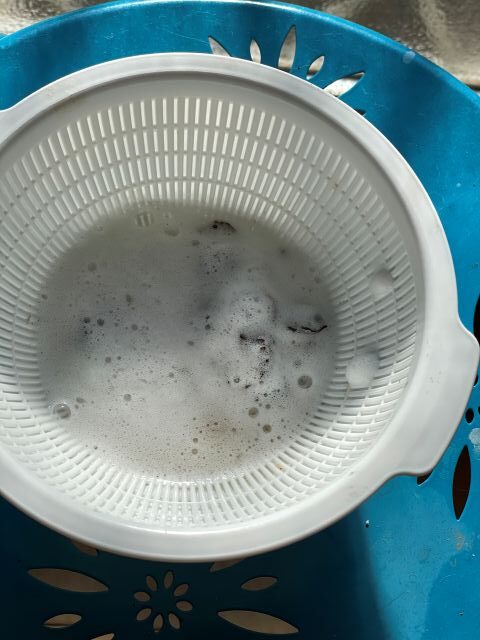 泡立つムクロジの果皮