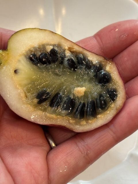 ムベはまろやかかつ爽やかな甘み