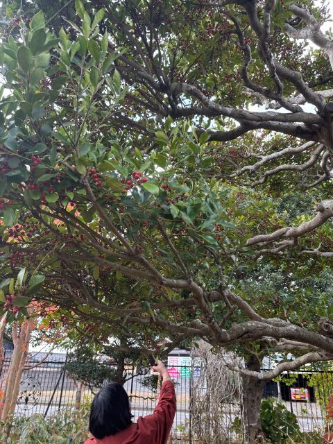 リースの材料集め