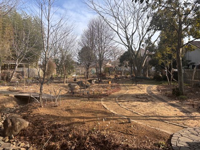 ハーブガーデンの土が露出して乾燥しているところが多い