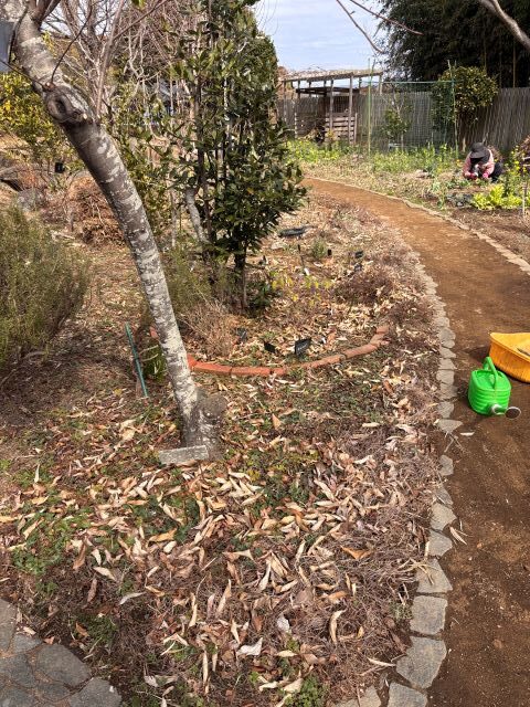 落ち葉に覆われたガーデン