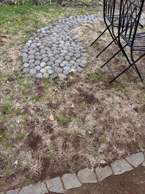 モグラの勢いが衰えません