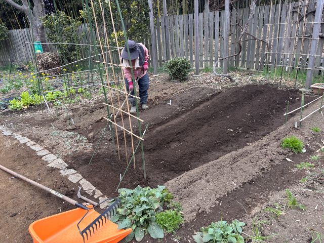 収穫のエリアの畝立て