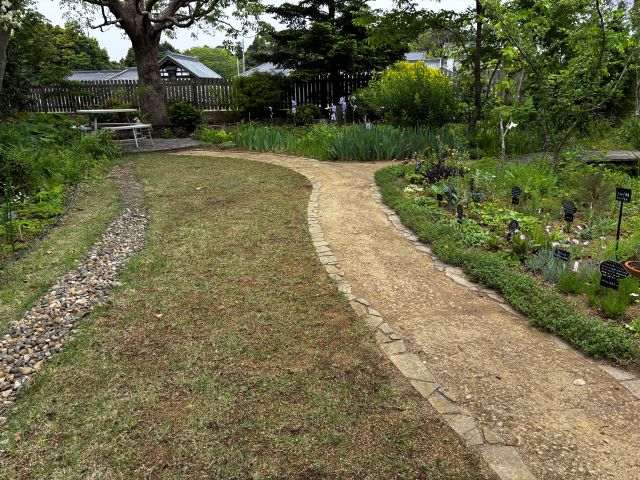 芝生と遠路沿いのクリーピングタイム